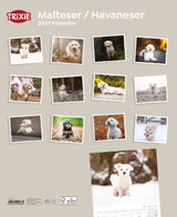 2027 Kalender Malteser/Havaneser