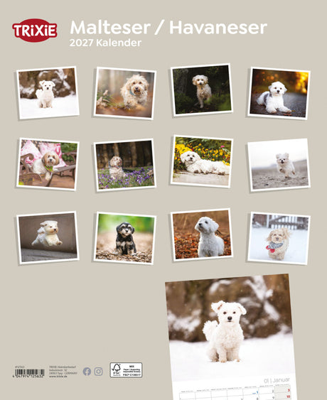 2027 Kalender Malteser/Havaneser