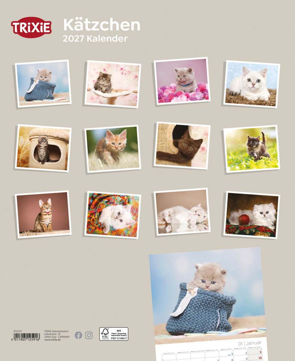 2027 Kalender Kätzchen