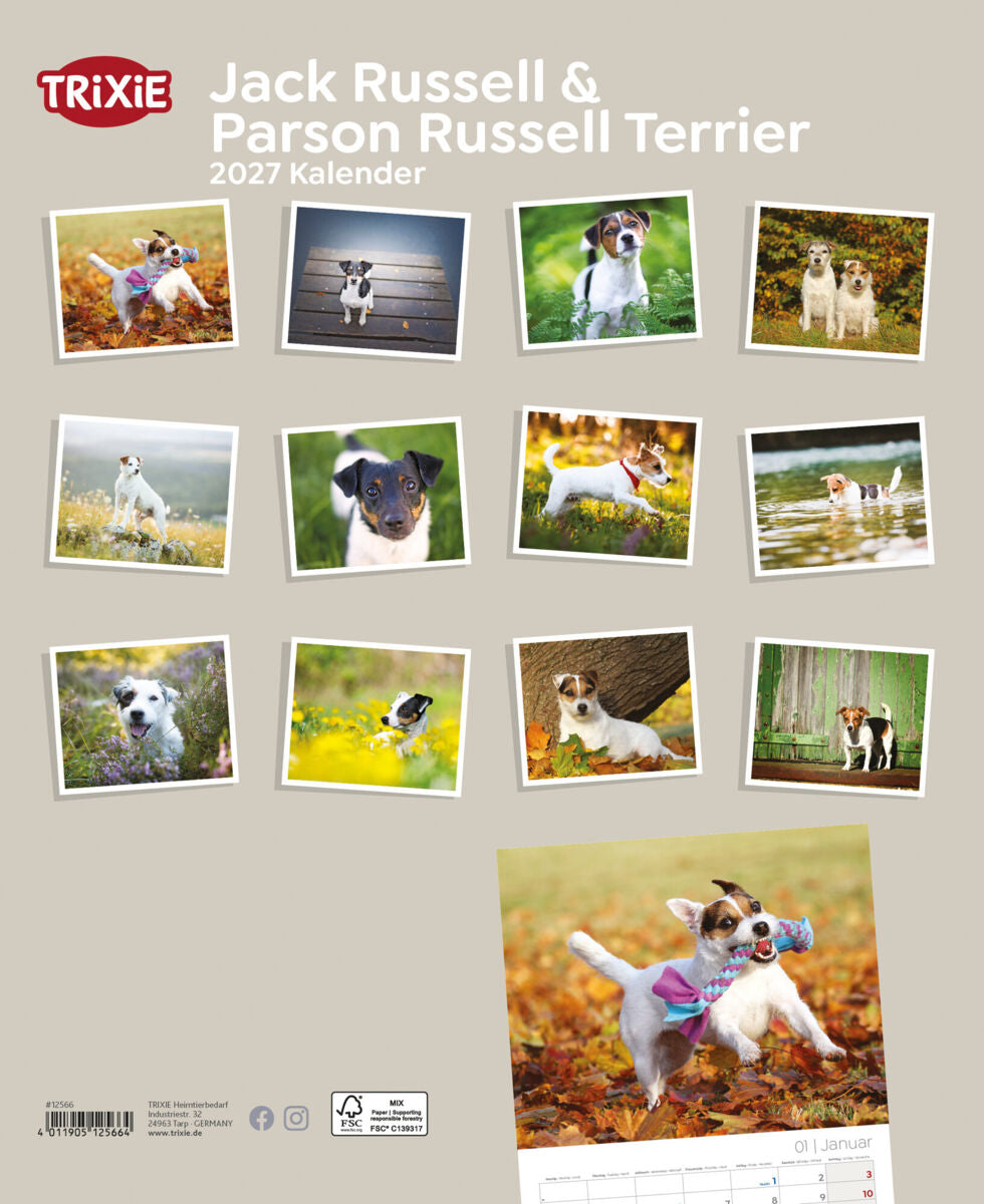 2027 Kalender Jack Russell & Parson Russell Terrier