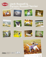2027 Kalender Jack Russell & Parson Russell Terrier