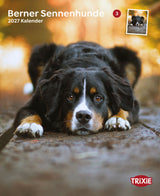 2027 Kalender Berner Sennenhund