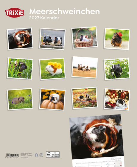 2027 Kalender Meerschweinchen