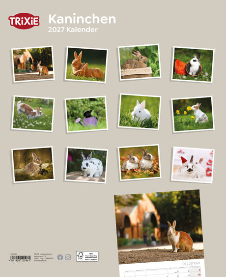 2027 Kalender für Kaninchen