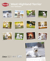 2027 Kalender West Highland Terrier