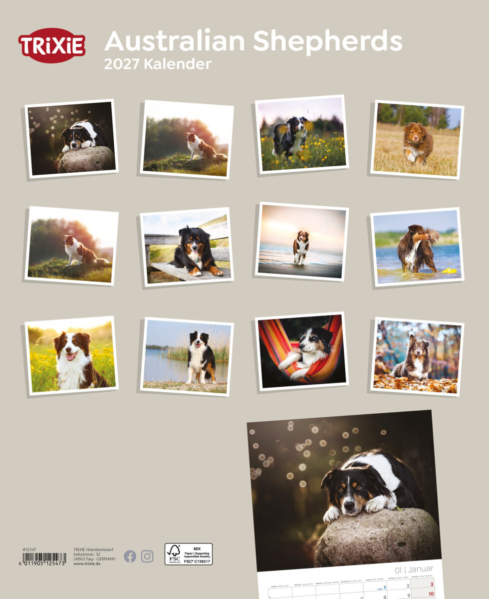 2027 Kalender Australian Shepherd