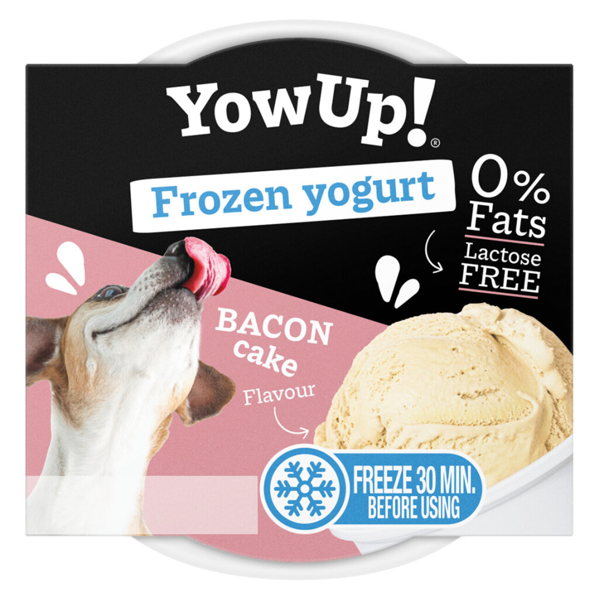 Frozen Yoghurt laktosefrei, 0% Fett. – Bacon Cake