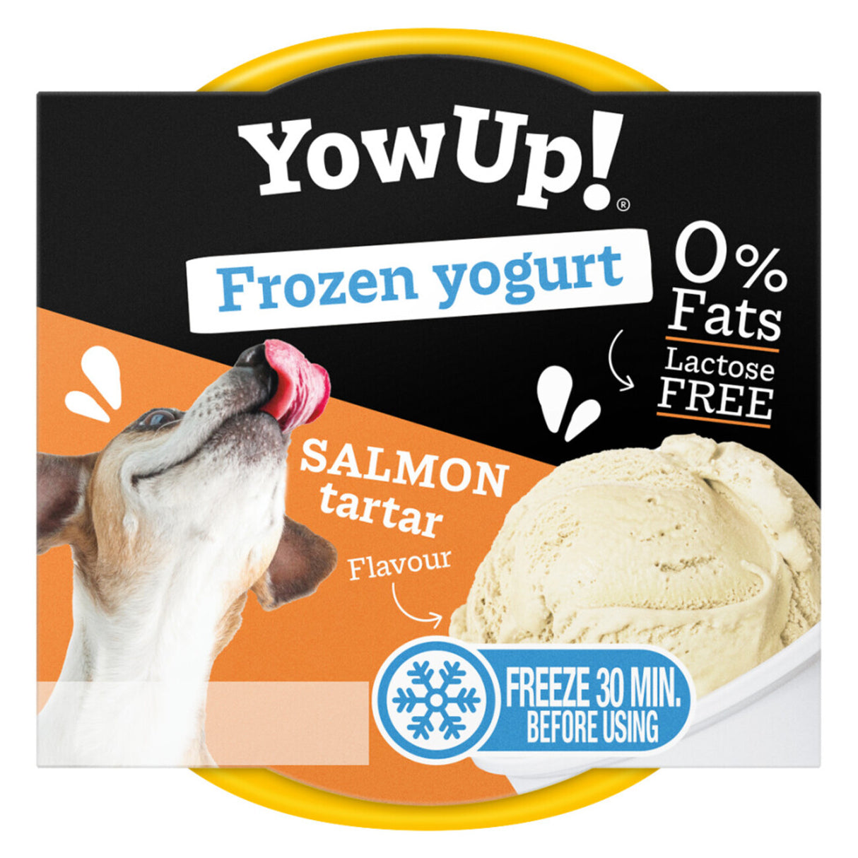 Frozen Yoghurt laktosefrei, 0% Fett. – Salmon Tartar